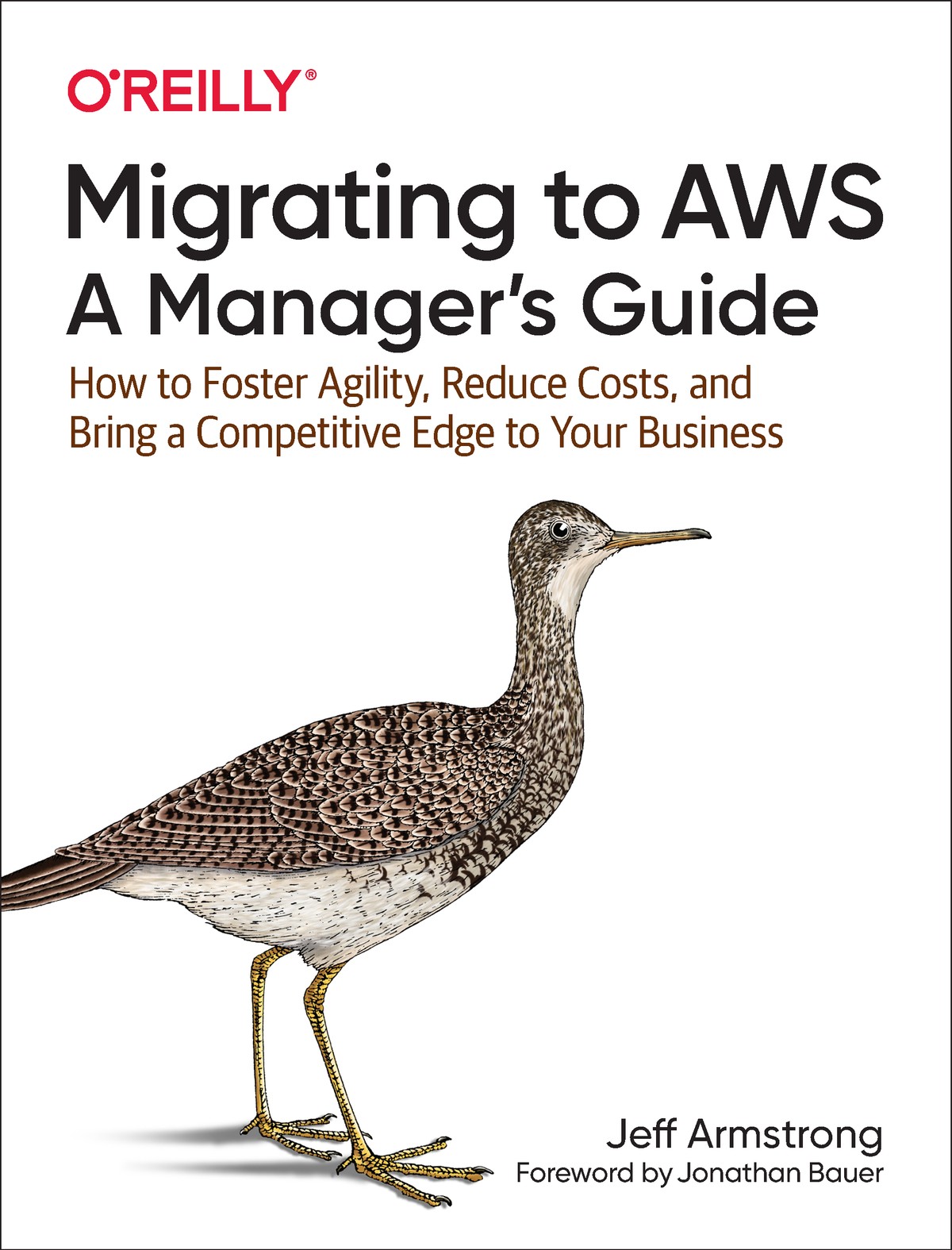 Migrating to AWS: A Manager's Guide: How to Foster Agility, Reduce Costs, and Bring a Competitive Edge to Your Business